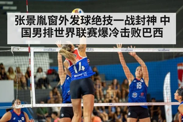 volleyball match action