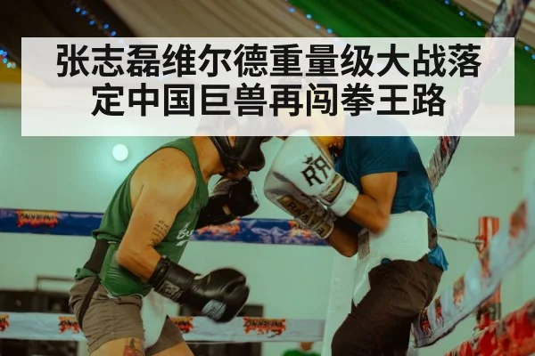 张志磊维尔德重量级大战落定中国巨兽再闯拳王路